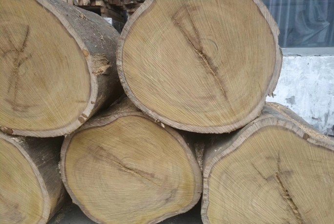 sapotaceae timber