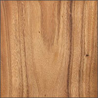 acacia wood