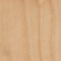solid wood birch
